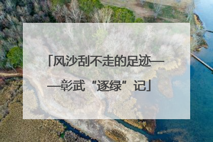 风沙刮不走的足迹——彰武“逐绿”记