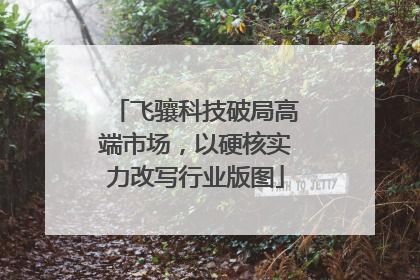 飞骧科技破局高端市场，以硬核实力改写行业版图