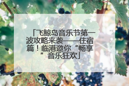 飞鲸岛音乐节第一波攻略来袭——住宿篇！临港邀你“畅享”音乐狂欢