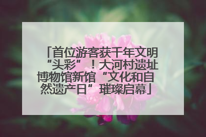 首位游客获千年文明“头彩”！大河村遗址博物馆新馆“文化和自然遗产日”璀璨启幕