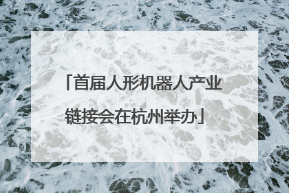 首届人形机器人产业链接会在杭州举办