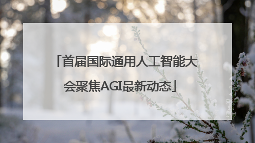 首届国际通用人工智能大会聚焦AGI最新动态
