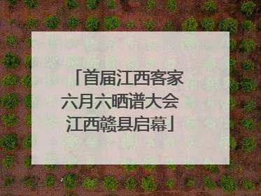 首届江西客家六月六晒谱大会江西赣县启幕