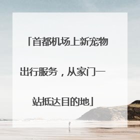 首都机场上新宠物出行服务，从家门一站抵达目的地