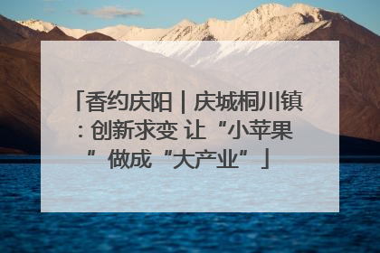 香约庆阳｜庆城桐川镇：创新求变 让“小苹果”做成“大产业”