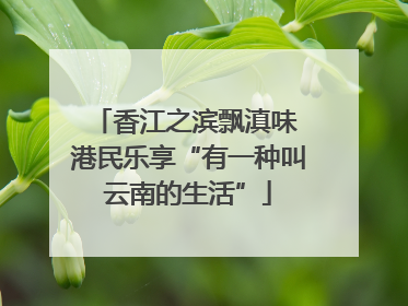 香江之滨飘滇味 港民乐享“有一种叫云南的生活”