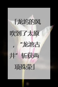 龙坞的风吹到了太原，“龙池古井”斩获两项殊荣