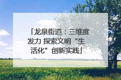 龙泉街道：三维度发力 探索文明“生活化”创新实践