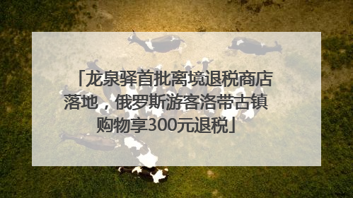龙泉驿首批离境退税商店落地，俄罗斯游客洛带古镇购物享300元退税