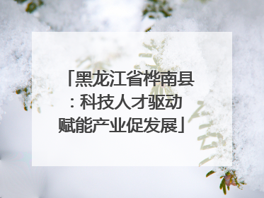 黑龙江省桦南县：科技人才驱动 赋能产业促发展