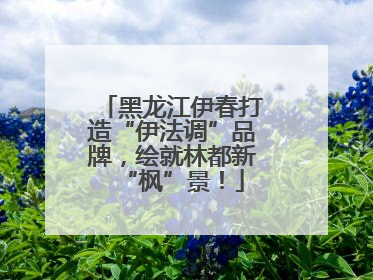 黑龙江伊春打造“伊法调”品牌，绘就林都新“枫”景！