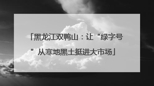 黑龙江双鸭山：让“绿字号”从寒地黑土挺进大市场