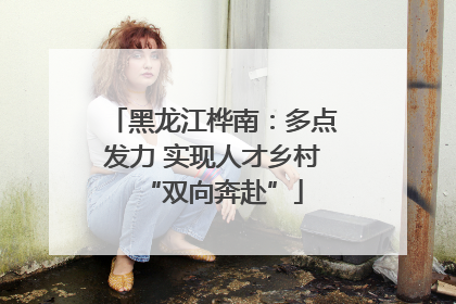 黑龙江桦南：多点发力 实现人才乡村“双向奔赴”