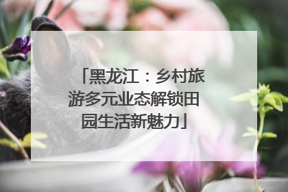 黑龙江：乡村旅游多元业态解锁田园生活新魅力