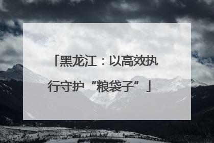 黑龙江：以高效执行守护“粮袋子”