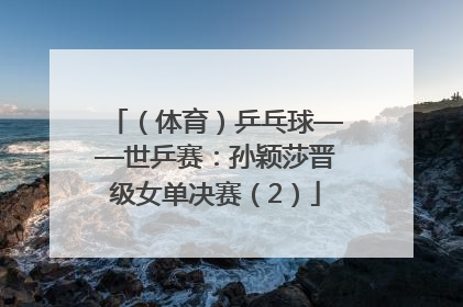 （体育）乒乓球——世乒赛：孙颖莎晋级女单决赛（2）