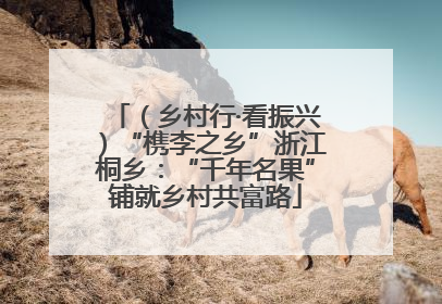 （乡村行·看振兴）“槜李之乡”浙江桐乡：“千年名果”铺就乡村共富路