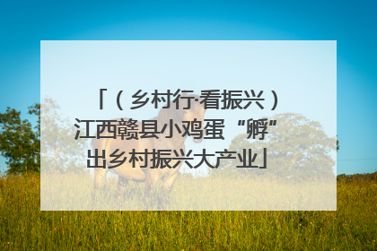 （乡村行·看振兴）江西赣县小鸡蛋“孵”出乡村振兴大产业