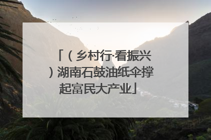 （乡村行·看振兴）湖南石鼓油纸伞撑起富民大产业