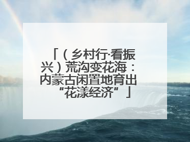 （乡村行·看振兴）荒沟变花海：内蒙古闲置地育出“花漾经济”