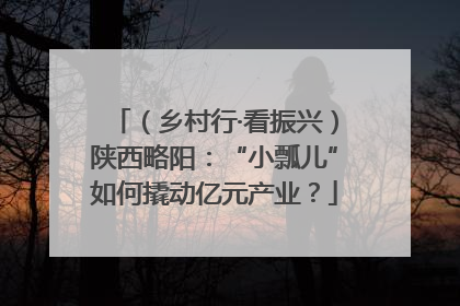 （乡村行·看振兴）陕西略阳：“小瓢儿”如何撬动亿元产业？
