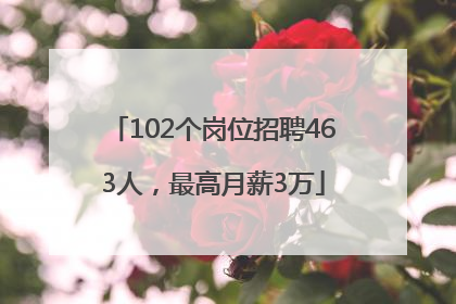 102个岗位招聘463人，最高月薪3万