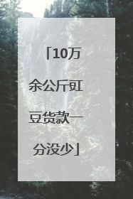 10万余公斤豇豆货款一分没少