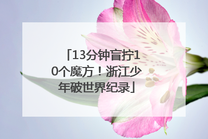 13分钟盲拧10个魔方！浙江少年破世界纪录