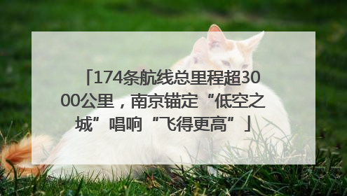 174条航线总里程超3000公里，南京锚定“低空之城”唱响“飞得更高”