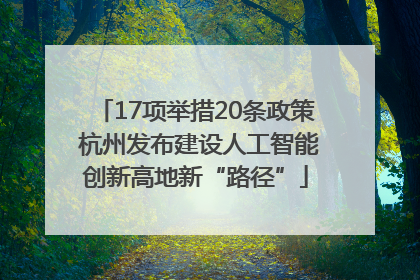 17项举措20条政策 杭州发布建设人工智能创新高地新“路径”