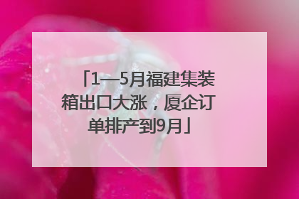 1—5月福建集装箱出口大涨，厦企订单排产到9月