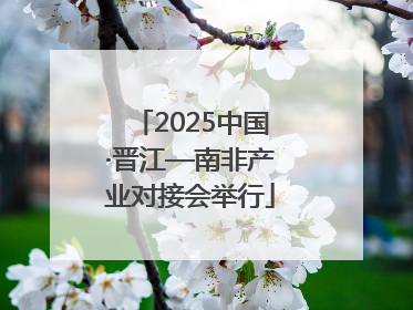 2025中国·晋江—南非产业对接会举行