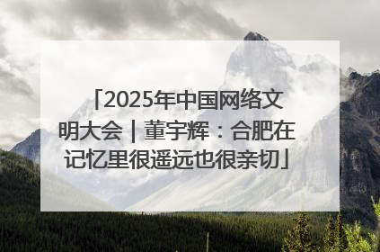 2025年中国网络文明大会｜董宇辉：合肥在记忆里很遥远也很亲切