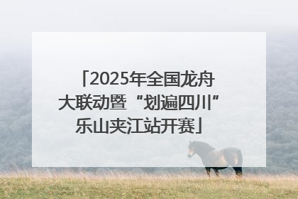 2025年全国龙舟大联动暨“划遍四川”乐山夹江站开赛