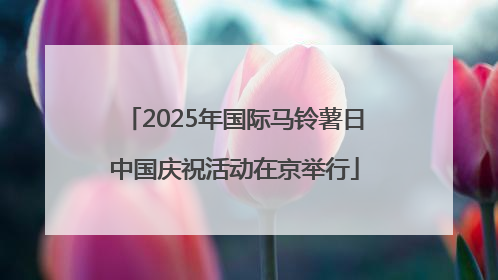 2025年国际马铃薯日中国庆祝活动在京举行