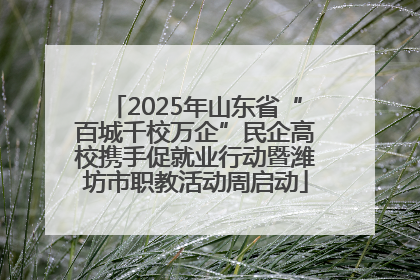 2025年山东省“百城千校万企”民企高校携手促就业行动暨潍坊市职教活动周启动