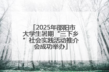 2025年邵阳市大学生暑期“三下乡”社会实践活动推介会成功举办