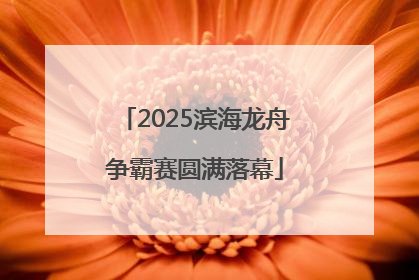 2025滨海龙舟争霸赛圆满落幕