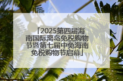 2025第四届海南国际离岛免税购物节暨第七届中免海南免税购物节启幕