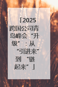 2025跨国公司青岛峰会“升级”：从 “引进来” 到 “链起来”