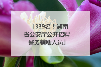 339名！湖南省公安厅公开招聘警务辅助人员