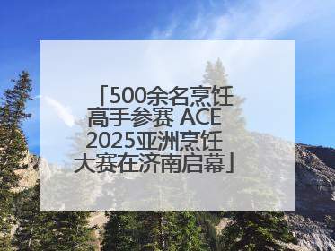500余名烹饪高手参赛 ACE2025亚洲烹饪大赛在济南启幕