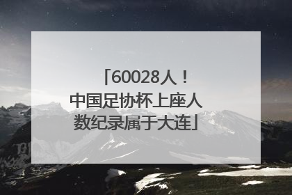 60028人！中国足协杯上座人数纪录属于大连