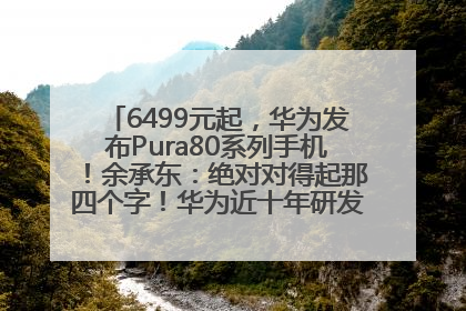 6499元起，华为发布Pura80系列手机！余承东：绝对对得起那四个字！华为近十年研发投入12490亿元