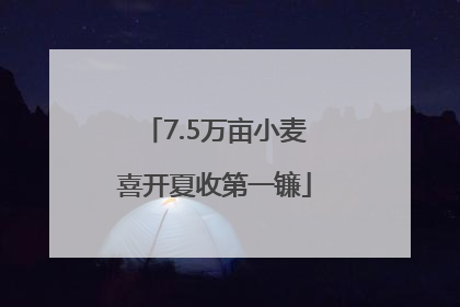 7.5万亩小麦喜开夏收第一镰