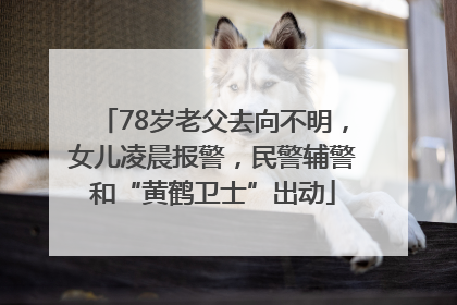 78岁老父去向不明，女儿凌晨报警，民警辅警和“黄鹤卫士”出动