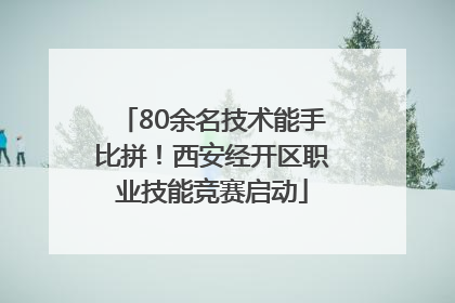 80余名技术能手比拼！西安经开区职业技能竞赛启动