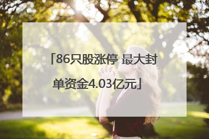86只股涨停 最大封单资金4.03亿元
