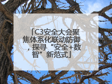 C3安全大会聚焦体系化联动防御，探寻“安全+数智”新范式