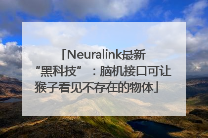 Neuralink最新“黑科技”：脑机接口可让猴子看见不存在的物体